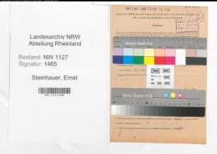 Entnazifizierung Ernst Steinhauer , geb. 04.06.1893 (Verwaltungsangestellter)
