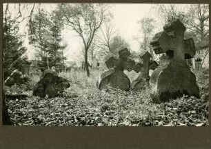 Friedhof. Grabkreuz im ältesten Teil des Friedhofes