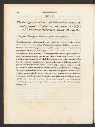 XLVII. Plumbum spatosum album crystallisatum diaphanum, crystallis polyedris irregularis ... Tab. XVII. Fig. 38