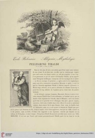 Pellegrino Tibaldi