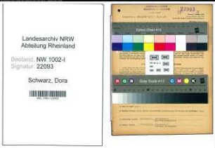 Entnazifizierung Dora Schwarz, geb. 23.09.1901 (Stenotypistin)