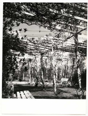 Bundesgartenschau 1957, Köln: Pergola