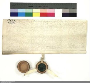 Revers der Brüder Johann Philipp und Adalbert Friedrich von Rosenbach bezüglich der Belehnung mit Schackau und weiteren im Einzelnen aufgeführten Lehen durch Adalbert [von Walderdorff], Bischof und Abt von Fulda