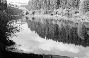 Weiher bei Friedenweiler