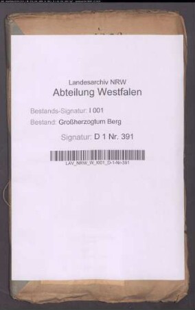 Anfertigung der korporellen und inkorporellen Domänenetats und der darauf Bezug habenden Prästationsregister der Rentei Wolbeck