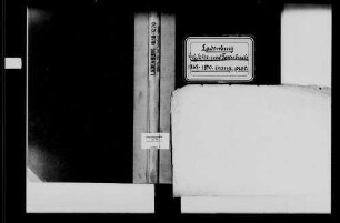 Ladenburg, evangelische Gemeinde: Standesbuch 1868-1870
