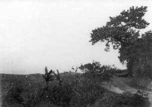 Abstieg von Wilhelmstal nach Mombo. Hinten der Mafia-Berg.
