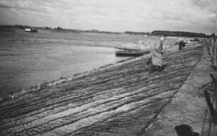 Uferschutz an der Weser