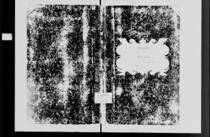 Neidenstein, katholische und israelitische Gemeinde: Standesbuch 1866-1870