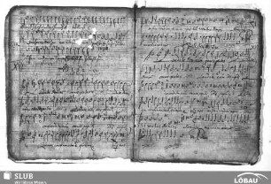 Anonymus: Laudate Dominum