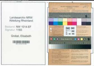Entnazifizierung Elisabeth Grobel , geb. 05.08.1899 (Lehrerin)