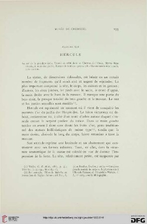 Planche XIII