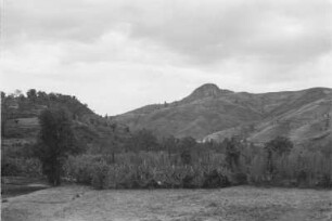 Waldreste des Alila-Hochtals (Äthiopienreise 1937/1938 - 3. Fahrt: von Addis Abeba nach Mogadischu und zurück)