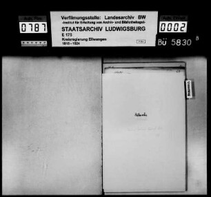 Auswanderungen, Bubenorbis mit Teilgemeinden Maibach, Riegenhof und Ziegelbronn