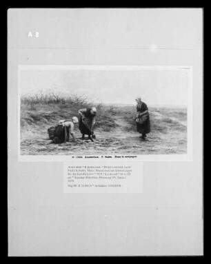 Bäuerinnen aus Scheveningen bei der Kartoffelernte