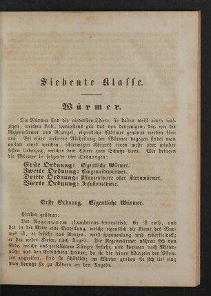 Siebente Klasse. Würmer.
