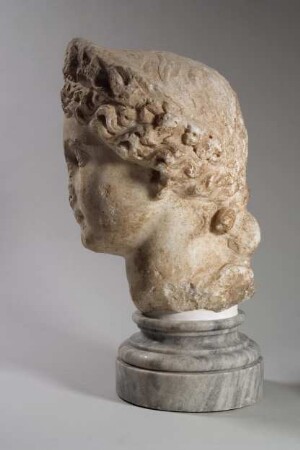 Kopf der Livia als Ceres