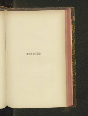 Libro quinto