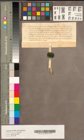 Heinrich von dem Luydenbach, genannt Witzgasse, quittiert über sechseinhalb Gulden Leibzuchtrenten.