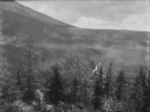 Wald : Blick auf bewaldete Berghänge
