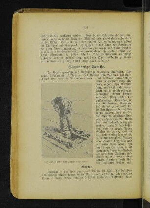 Für Gurken wird eine Furche ausgeworfen