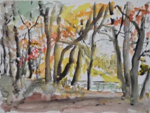 Schilbach Park mit Teich