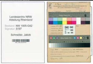 Entnazifizierung Jakob Schneider , geb. 29.04.1894 (Kaufm.Angestellter)