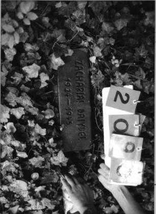 Grabstein 2093 [Hahn S. 250 Grab-Nr. 3054]