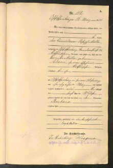 Standesamtsbuch der Stadt Aschaffenburg: Geburten 365/1900 - 184/1901