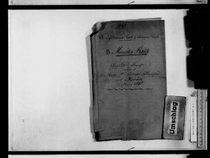 Geschäftsberichte während der Reise des Königs nach Meran (1845)