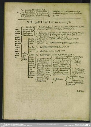 XIII. post Trinit.