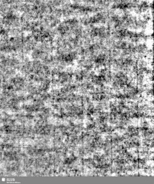 Lilienschild + IESV / LW = S.5/6