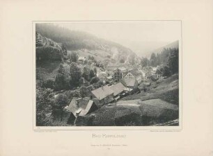"Bad Rippoldsau" im Schwarzwald