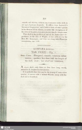 Lymnaea minima. Tab. CLXIX. — Fig. 1