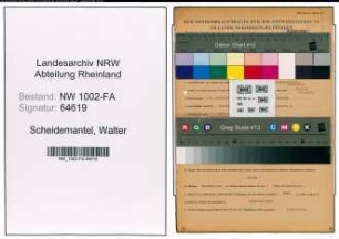 Entnazifizierung Walter Scheidemantel, geb. 04.12.1901 (Kaufmann)