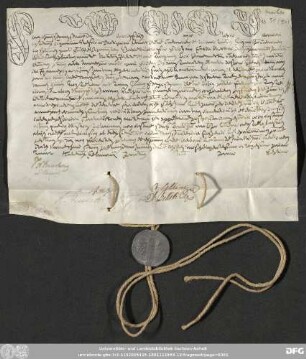 [Halle (Saale), Universitäts- und Landesbibliothek Sachsen-Anhalt, Morbio 31 (34)]