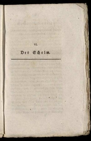 VI. Der Schelm.