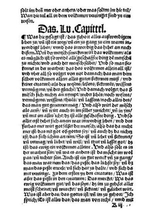 Das Lv. Capittel
