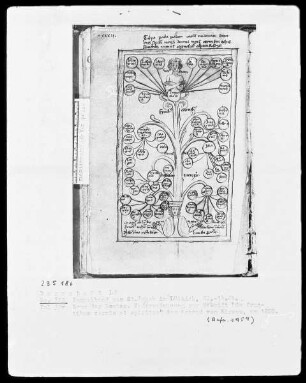 Sammelhandschrift — Konrad von Hirsau, De fructibus carnis et spiritus — Baum der Laster, Folio verso