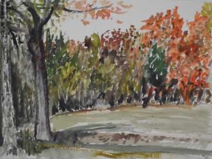 Straße nach Schilbach