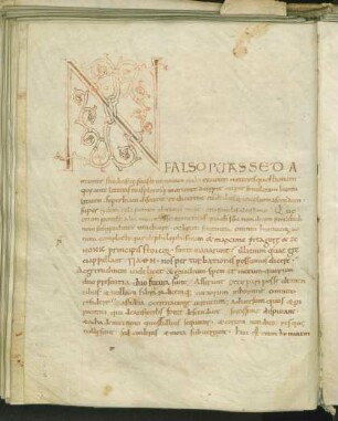 Randleisteninitiale N mit Rankenwerk