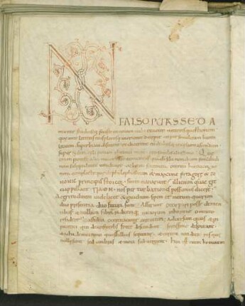 Randleisteninitiale N mit Rankenwerk