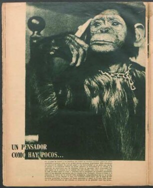 Un pensador como hay pocos... [Fotografía]