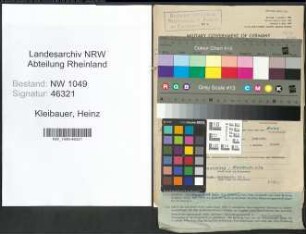 Entnazifizierung Heinz Kleibauer , geb. 06.01.1909 (Kaufmann)