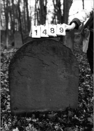Grabstein 1489 (Index: 99903985) Material: Sandstein Zustand: vollständig verwittert Maße HxBxT: 80x70x4 cm: Grabstein 1489