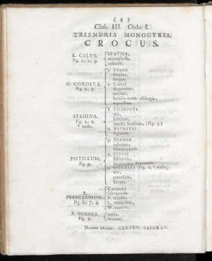 Class. III. (Triandria)
