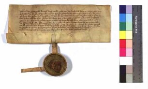 König Karl beurkundet, dass, nachdem das Kloster Weingarten seine erste Bitte zu Gunsten des Konrad aus Innsbruck erfüllt habe, etwaige weitere Briefe von seiner Seite ungültig sein sollen.
