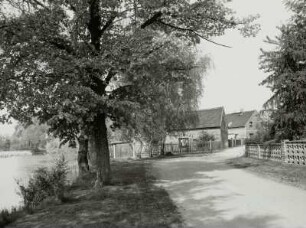 Straße, Jesewitz