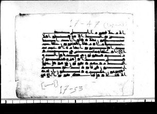al- Qurʾān [DAM 12-12.1]