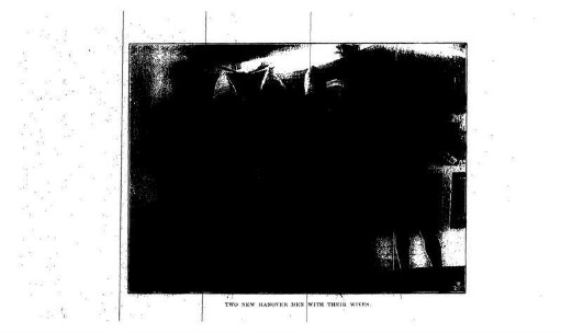 TWO NEW HANOVER MEN WITH THEIR WIVES